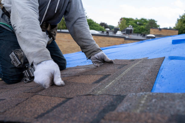 Best Gutter Installation and Roofing  in Detroit Beach, MI