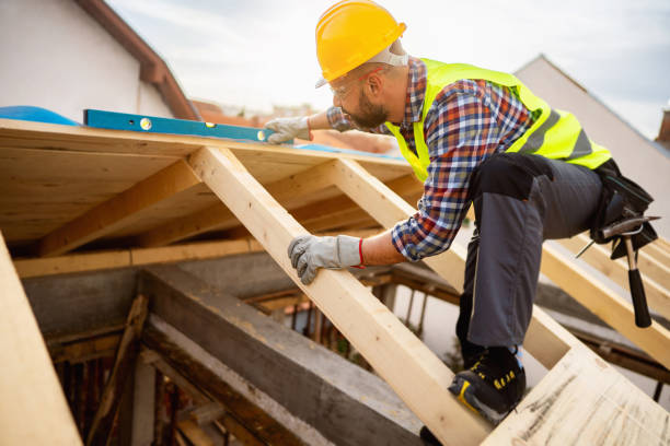 Best Storm Damage Roof Repair  in Detroit Beach, MI