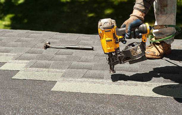 Best Local Roofing Companies  in Detroit Beach, MI